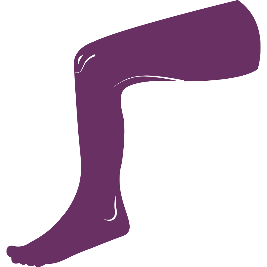 Lower Extremity
