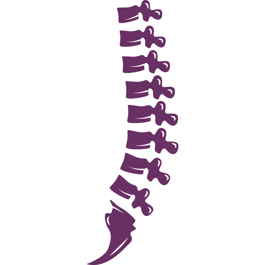 Spine